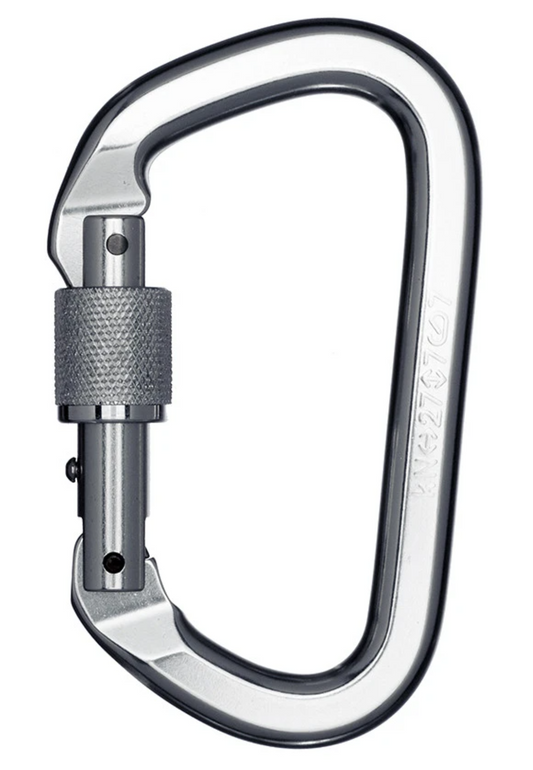 Climbing Carabiner Clip (silver)